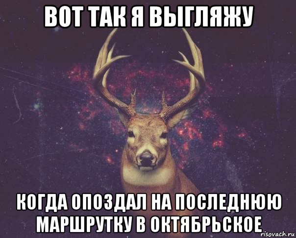 вот так я выгляжу когда опоздал на последнюю маршрутку в октябрьское