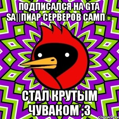 Подписался на Gta sa||Пиар серверов самп✔ Стал крутым чуваком ;3, Мем Омская птица