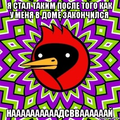 я стал таким после того как у меня в доме закончился наааааааааадсвваааааай, Мем Омская птица