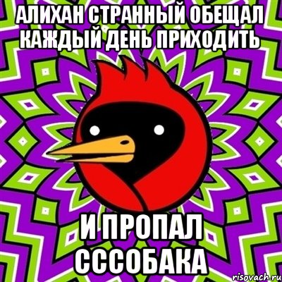 Алихан странный обещал каждый день приходить И ПРОПАЛ Сссобака, Мем Омская птица