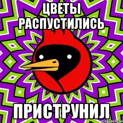 цветы распустились приструнил, Мем Омская птица