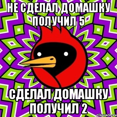 Не сделал домашку получил 5 Сделал домашку получил 2, Мем Омская птица