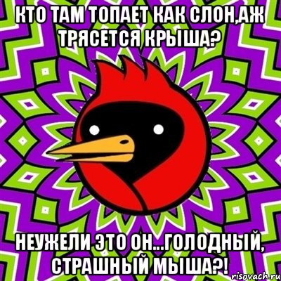 кто там топает как слон,аж трясется крыша? неужели это он...голодный, страшный мыша?!, Мем Омская птица