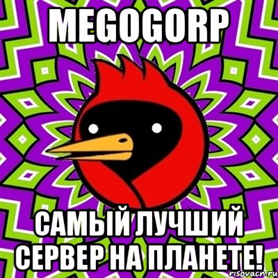 MegogoRP Самый лучший сервер на планете!, Мем Омская птица