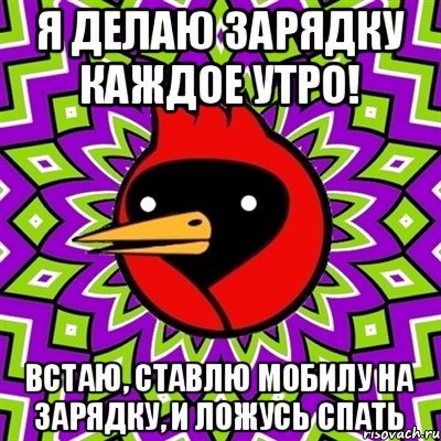 Я делаю зарядку каждое утро! Встаю, ставлю мобилу на зарядку, и ложусь спать, Мем Омская птица