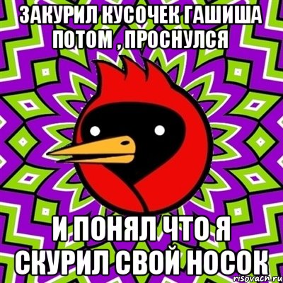 Закурил кусочек гашиша потом , проснулся и понял что я скурил свой носок, Мем Омская птица