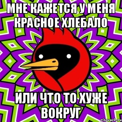 мне кажется у меня красное хлебало или что то хуже вокруг, Мем Омская птица