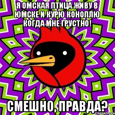 Я Омская птица живу в Юмске и курю коноплю когда мне грустно! Смешно, правда?, Мем Омская птица