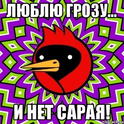 Люблю грозу... И НЕТ САРАЯ!, Мем Омская птица