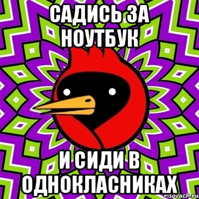 садись за ноутбук и сиди в однокласниках, Мем Омская птица