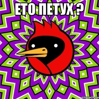 Ето петух ? , Мем Омская птица