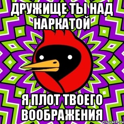 дружище ты над наркатой я плот твоего воображения, Мем Омская птица