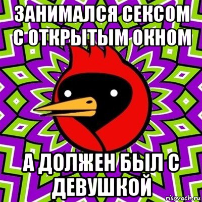 занимался сексом с открытым окном а должен был с девушкой, Мем Омская птица