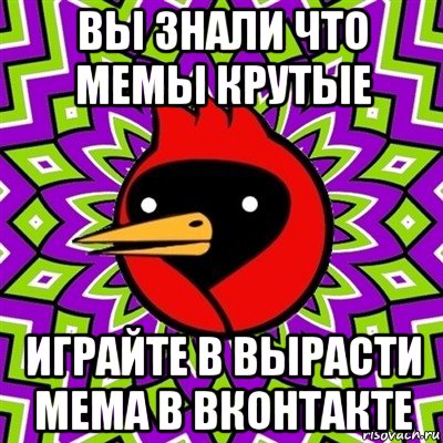 вы знали что мемы крутые играйте в вырасти мема в вконтакте, Мем Омская птица