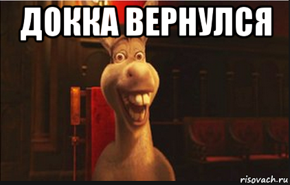 докка вернулся 