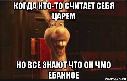 когда кто-то считает себя царем но все знают что он чмо ебанное, Мем Осел из Шрека