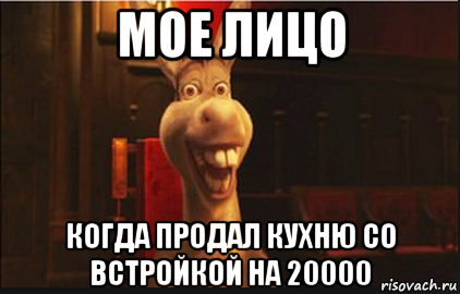 мое лицо когда продал кухню со встройкой на 20000, Мем Осел из Шрека