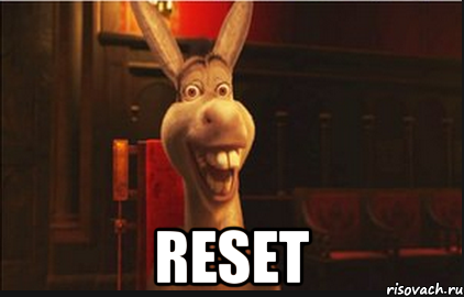  RESET