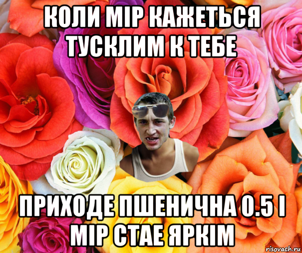 коли мір кажеться тусклим к тебе приходе пшенична 0.5 і мір стае яркім, Мем  пацанчо