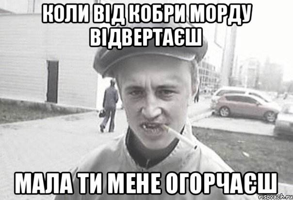 коли від кобри морду відвертаєш мала ти мене огорчаєш, Мем Пацанська философия