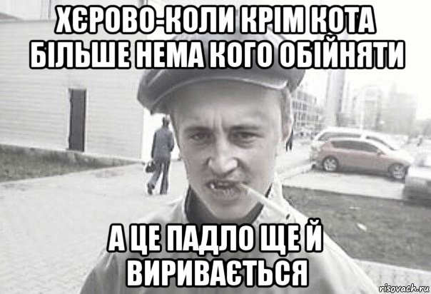 хєрово-коли крім кота більше нема кого обійняти а це падло ще й виривається, Мем Пацанська философия