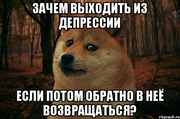 зачем выходить из депрессии если потом обратно в неё возвращаться?, Мем SAD DOGE