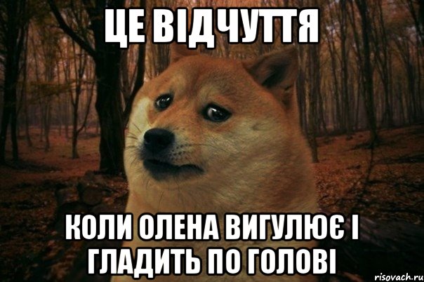 це відчуття коли Олена вигулює і гладить по голові, Мем SAD DOGE