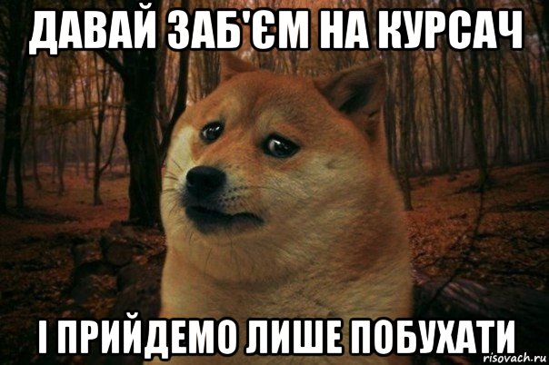 давай заб'єм на курсач і прийдемо лише побухати, Мем SAD DOGE