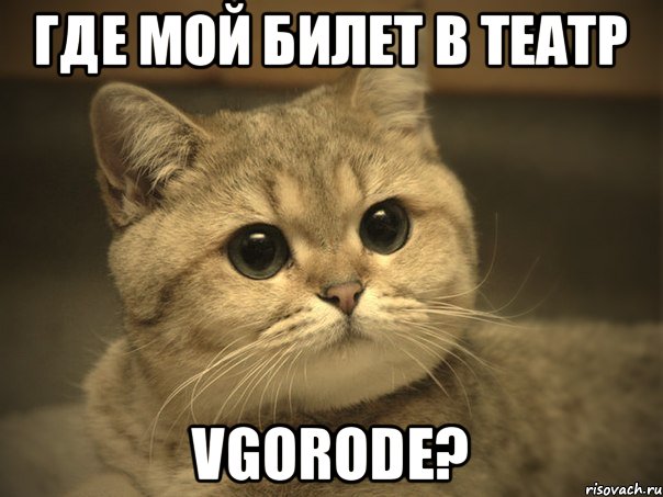 Где мой билет в театр Vgorode?, Мем Пидрила ебаная котик