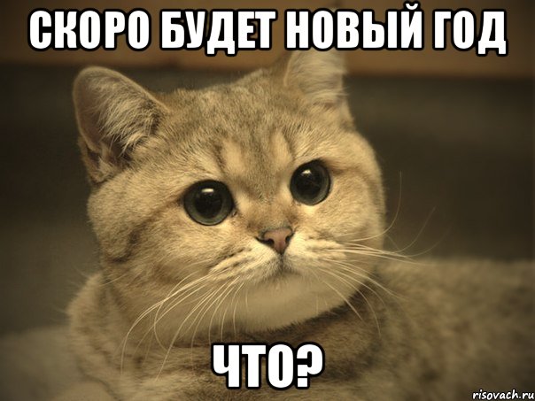 скоро будет новый год что?