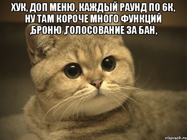 хук, доп меню, каждый раунд по 6к, ну там короче много функций ,броню ,голосование за бан, , Мем Пидрила ебаная котик