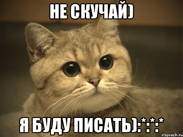 Не скучай) Я буду писать):*:*:*, Мем Пидрила ебаная котик