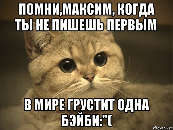 Помни,Максим, когда ты не пишешь первым в Мире грустит одна бэйби:"(, Мем Пидрила ебаная котик