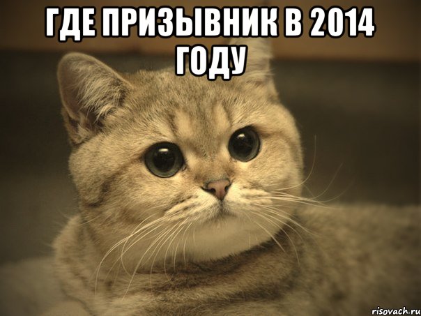 где призывник в 2014 году 