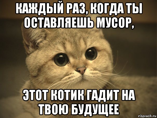 каждый раз, когда ты оставляешь мусор, этот котик гадит на твою будущее