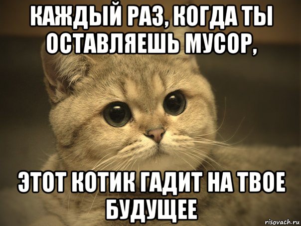 каждый раз, когда ты оставляешь мусор, этот котик гадит на твое будущее