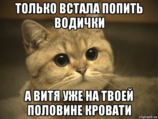 только встала попить водички а витя уже на твоей половине кровати, Мем Пидрила ебаная котик