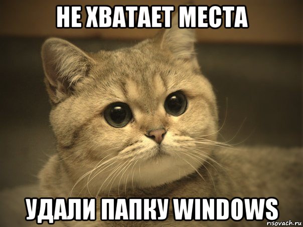 не хватает места удали папку windows