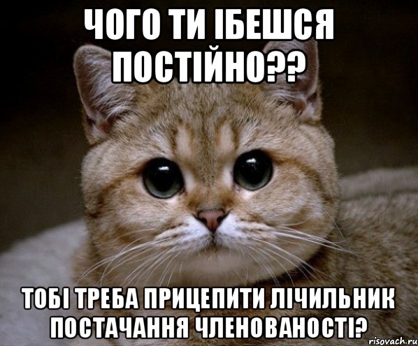 Чого ти ібешся постійно?? Тобі треба прицепити лічильник постачання членованості?, Мем Пидрила Ебаная