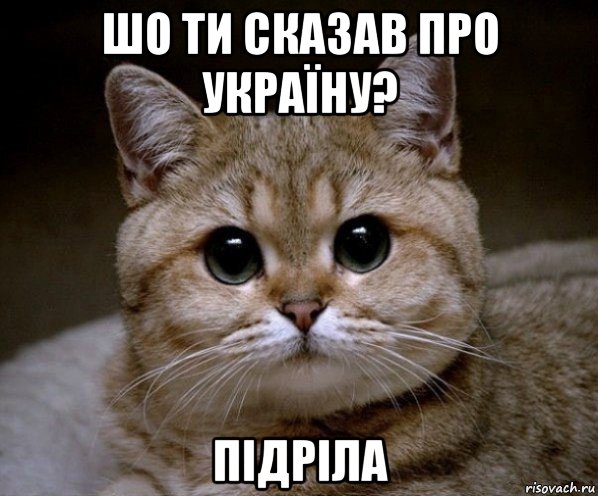 шо ти сказав про україну? підріла, Мем Пидрила Ебаная