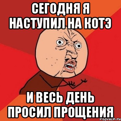 Сегодня я наступил на котэ и весь день просил прощения, Мем Почему