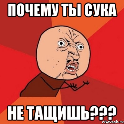 почему ты сука не тащишь???, Мем Почему