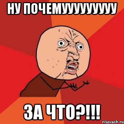 Ну почемууууууууу За что?!!!, Мем Почему