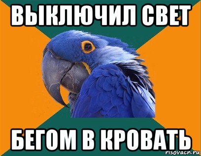 выключил свет бегом в кровать, Мем Попугай параноик