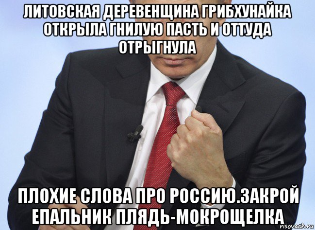 литовская деревенщина грибхунайка открыла гнилую пасть и оттуда отрыгнула плохие слова про россию.закрой епальник плядь-мокрощелка, Мем Путин показывает кулак