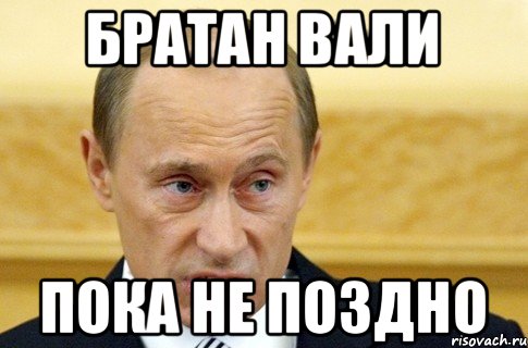 братан вали пока не поздно, Мем путин