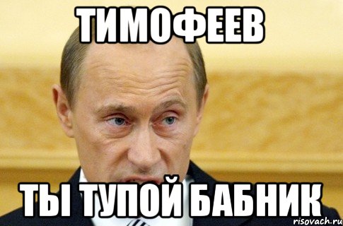 Тимофеев Ты тупой бабник, Мем путин