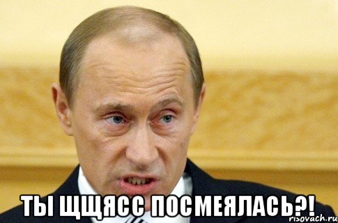  ты щщясс посмеялась?!, Мем путин