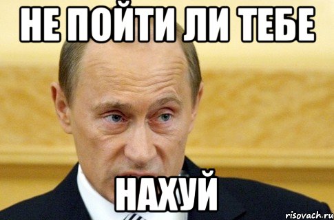 Не пойти ли тебе нахуй, Мем путин