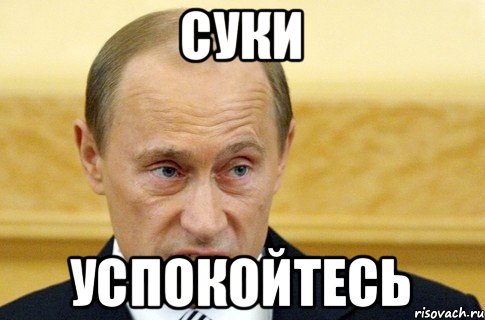 суки успокойтесь, Мем путин